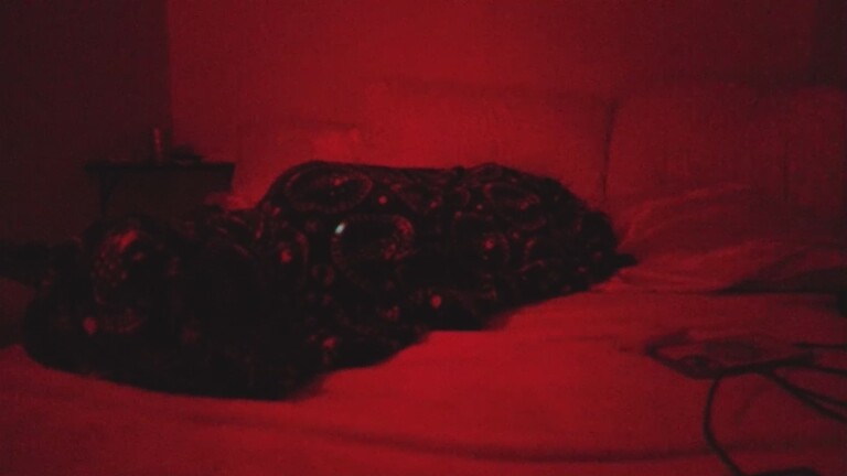 vivbby's Streamate show and profile