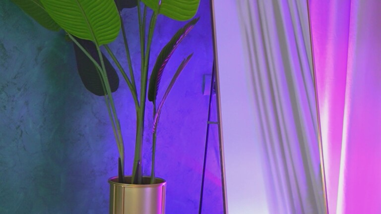 cattitude's Streamate show and profile