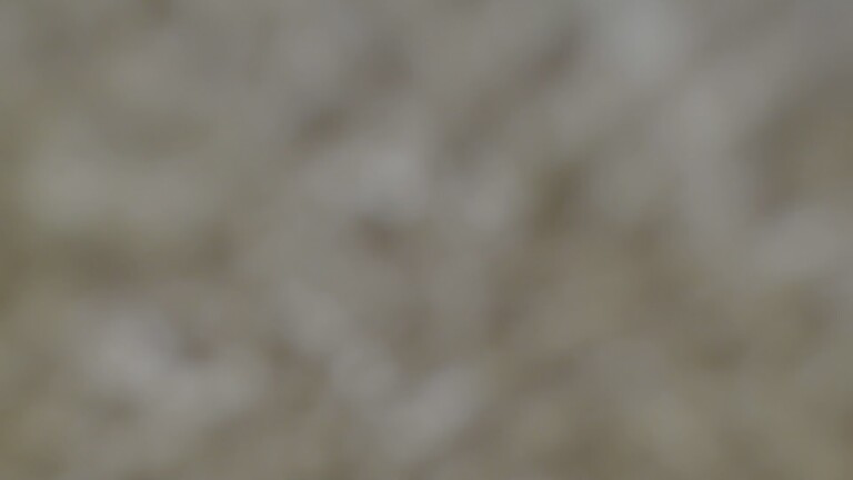 Adrianna_4u's Streamate show and profile